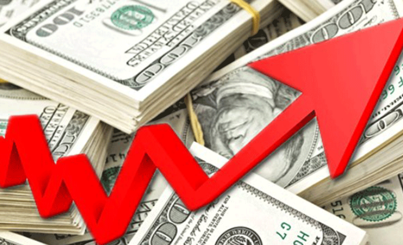 Ekonomi Bakanı'ndan dolar çağrısı: Yetkisi olanlar gecikmeden kullanmalı