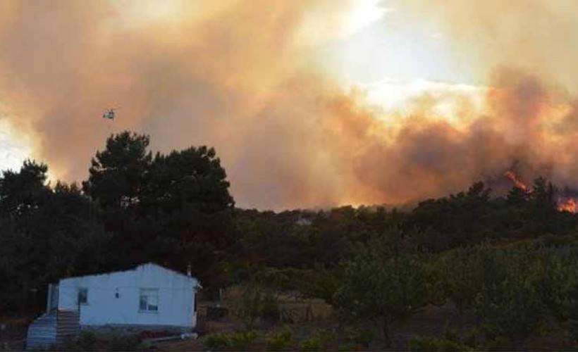 Çanakkale'de orman yangını