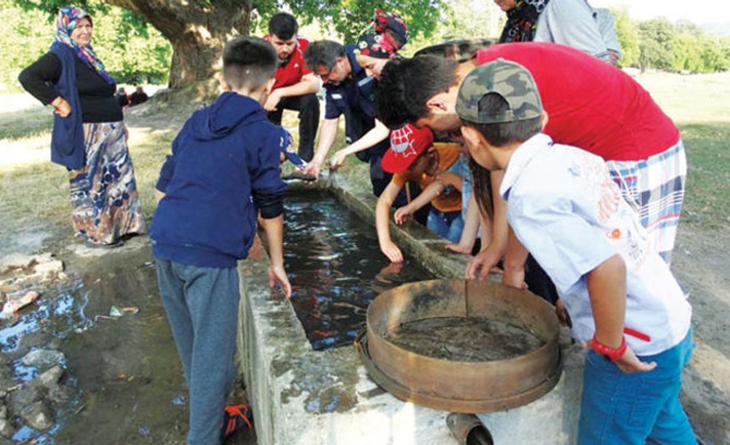 Kıyıya vuran balıkları yaşatmak için çeşmede yıkadılar