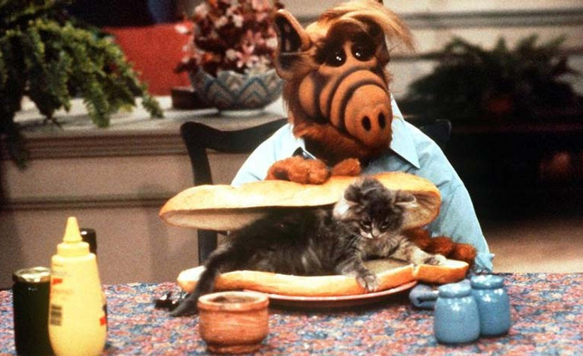 ALF geri dönüyor
