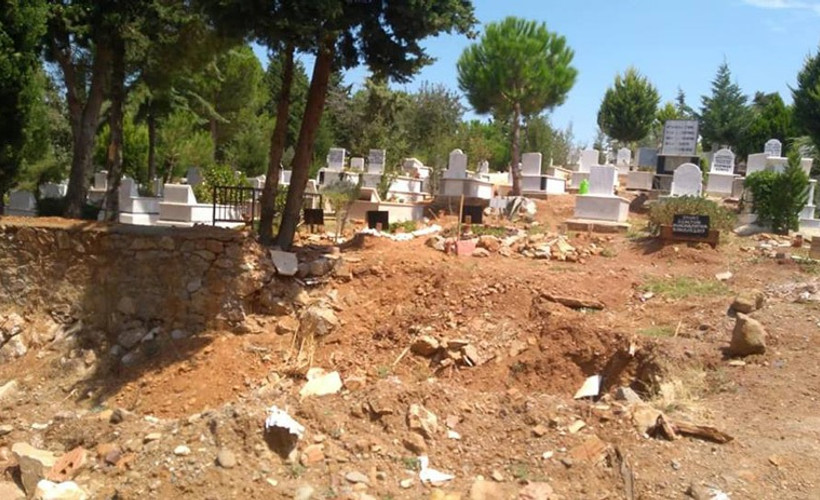 Mezarlığı keçiler istila etti
