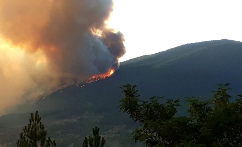 Kastamonu'daki orman yangınında 20 dönümlük alan kül oldu