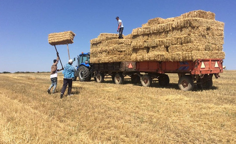 Artık samanın da bir borsası var