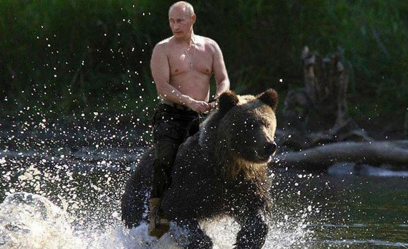 'Ayılar Putin'i görünce ne yapacaklarını bilirler'