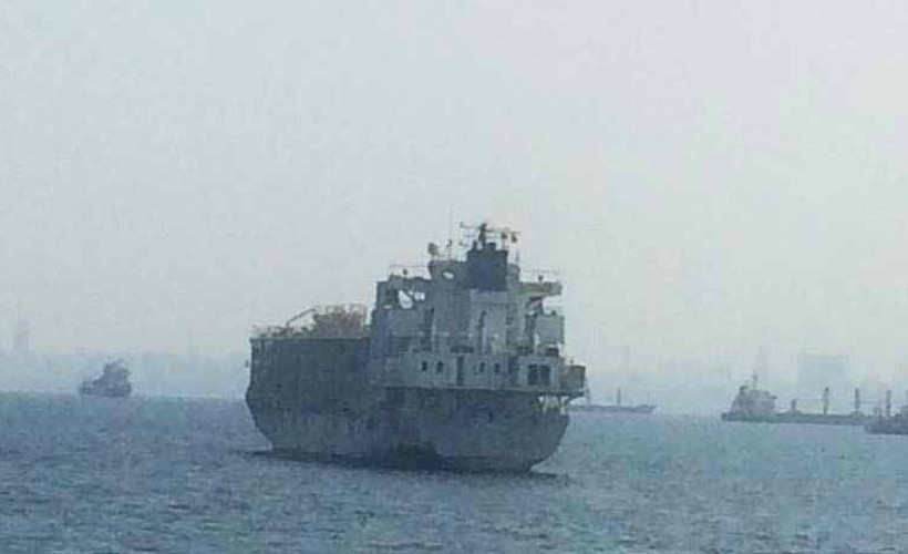 Ahırkapı’da demirleyen gemi canlı hayvan taşıyor iddiası