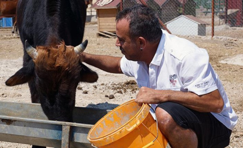 Haluk Levent'ten dana Ferdinand'a ziyaret