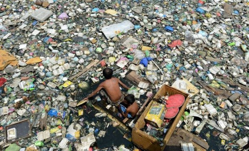 Plastik yiyen mantar çöp krizine çare olabilir