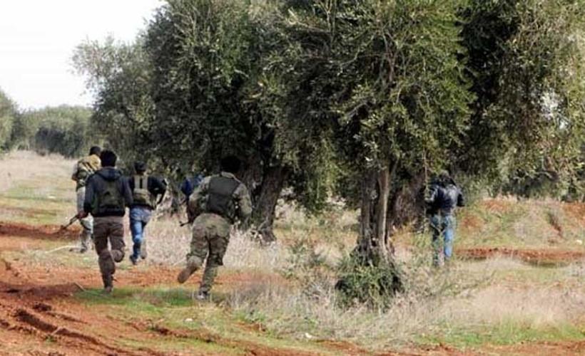 Afrin'de silahlı gruplar 'zeytin' için çatıştı: 15 yaralı