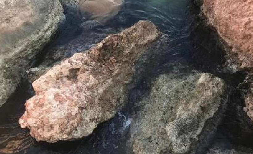 Denizde kadın cesedi bulundu