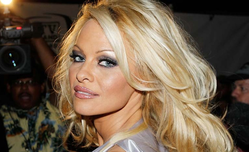 Pamela Anderson'dan 'Sarı Yelekliler'e destek