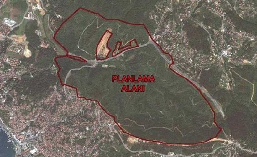 Beykoz'daki ormanlara 554 villa izni: En az 5 bin ağaç kesilecek