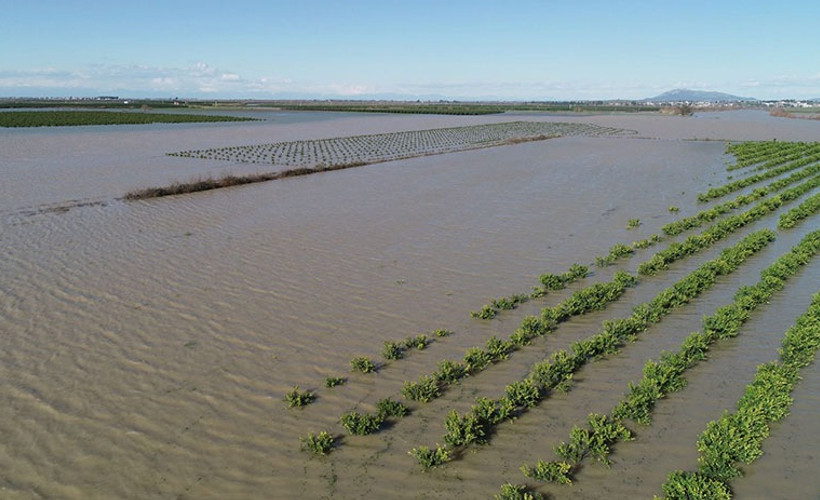 Adana'da sel mağduru çiftçiler, borçlarının ertelenmesini istiyor