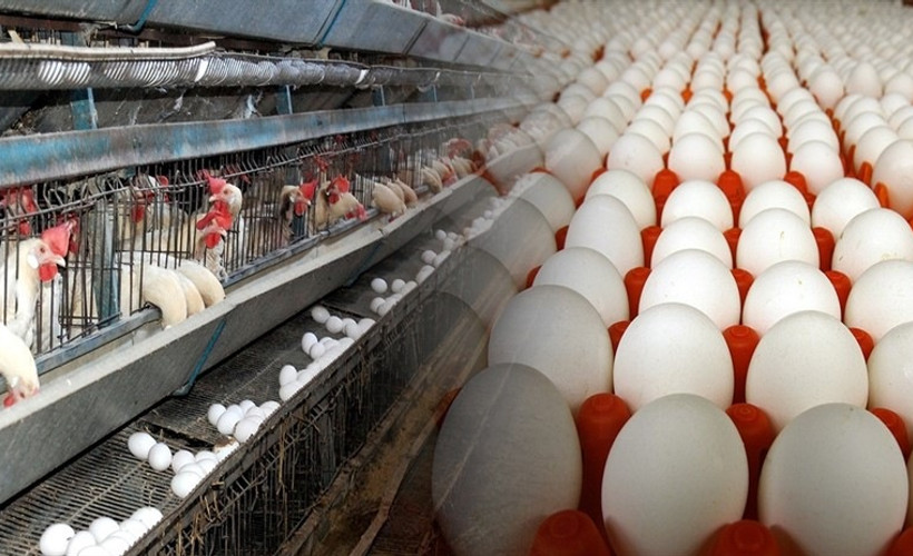 İcralık yumurta satışı başladı