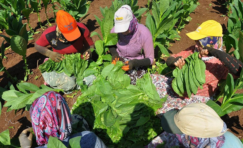 Üretici kan ağlıyor, AKP ithalata para akıtıyor