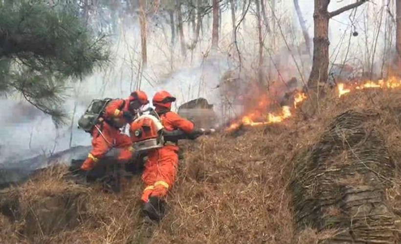 Çin'de orman yangını: 24 itfaiyeci öldü