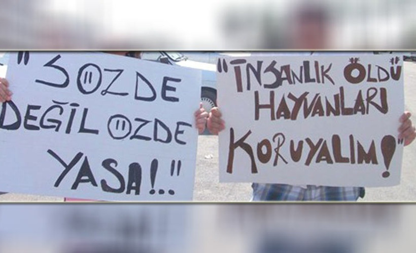 'Hayvana Şiddet Suçtur' diyen 1 milyon 457 bin 612 kişinin imzaları Meclis'te