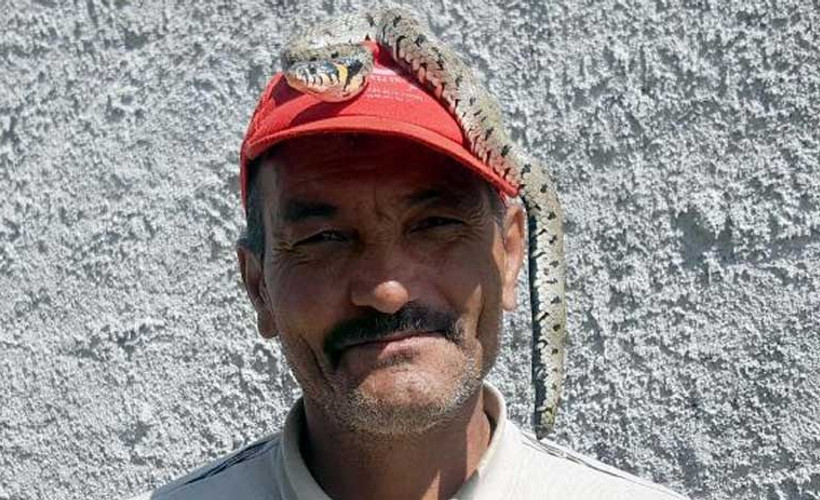 'Hayvanlar sevildiğini anlayınca zarar vermez'