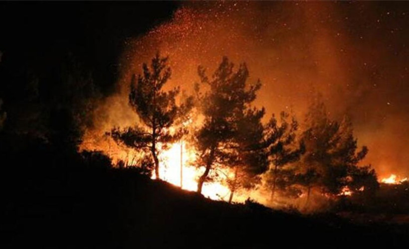 Çanakkale'de orman yangını