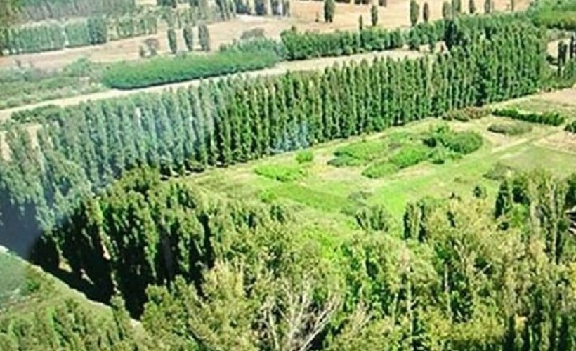 Atatürk Orman Çiftliği arazisi için yürütmeyi durdurma kararı