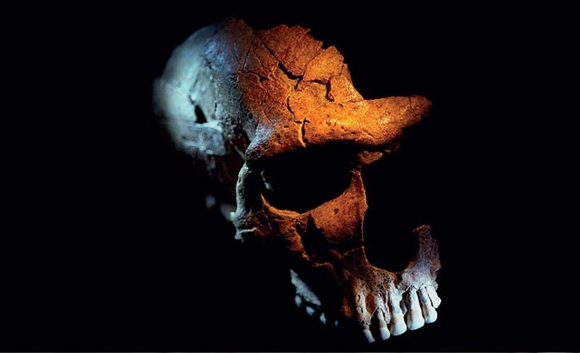 İran'da ilk kez doğrudan Neandertal varlığı kanıtlandı