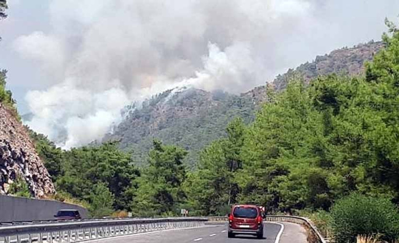 Marmaris'te orman yangını