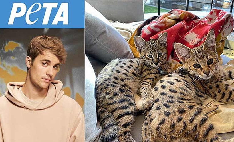 Bieber'den PETA'ya: Gerçek sorunlara odaklanın