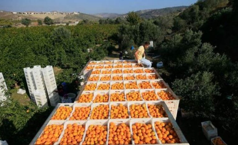 Rusya Türkiye'den gelen 370 ton ürünü geri çevirdi