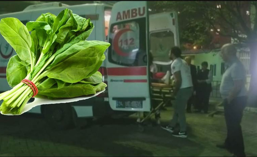 İstanbul'daki zehirlenmelerin nedeni belli oldu: Tarım Müdürlüğü açıkladı