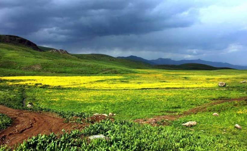 Hakkari’de 5 bölge giriş çıkışa yasaklandı