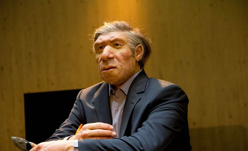 Neandertal DNA'sı, Avrupalılardan Afrikalılara geçti