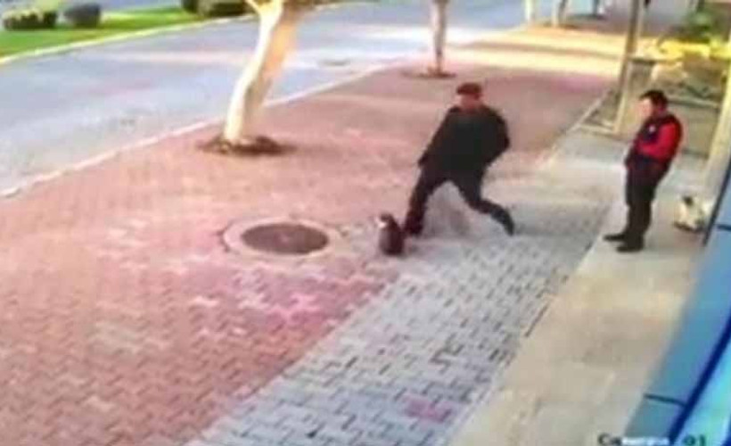 Kedileri tekmeleyen şüpheli serbest bırakıldı