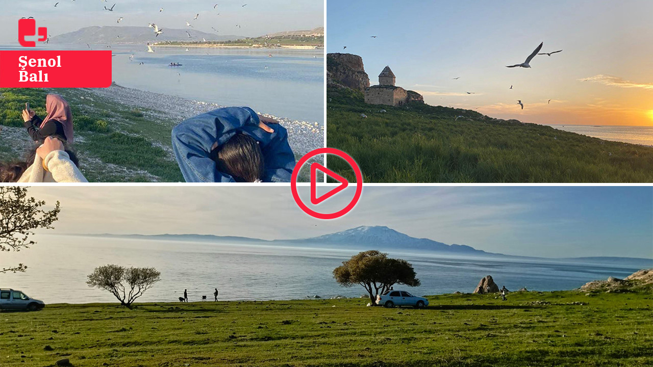 Çarpanak Adası'ndaki martılar turizm tehdidi altında: 'Ekolojik denge bozuluyor'