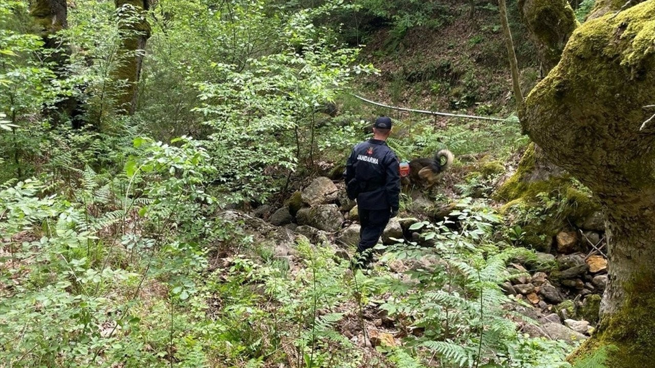 Ekonomist Korhan Berzeg'in Gönen'de evinin yakınındaki arama çalışmalarına ara verildi