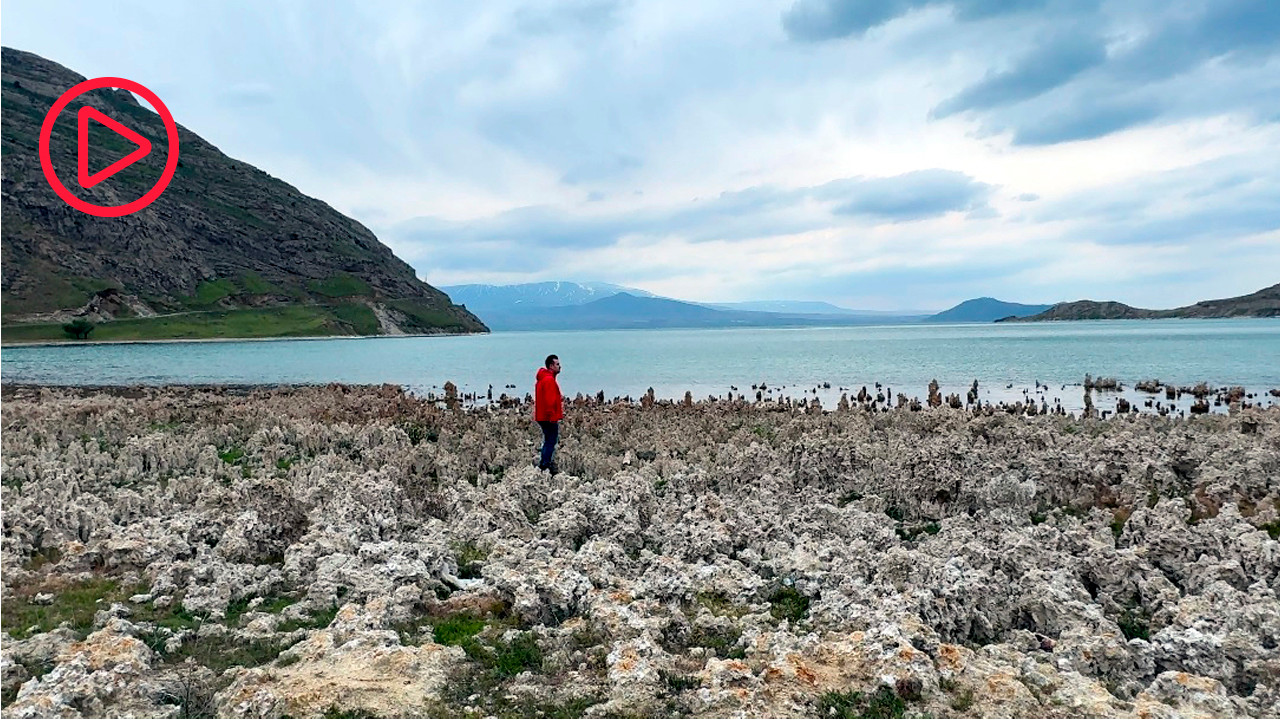 Sular çekildi, Van Gölü sahilleri mikrobiyalit tarlasına döndü