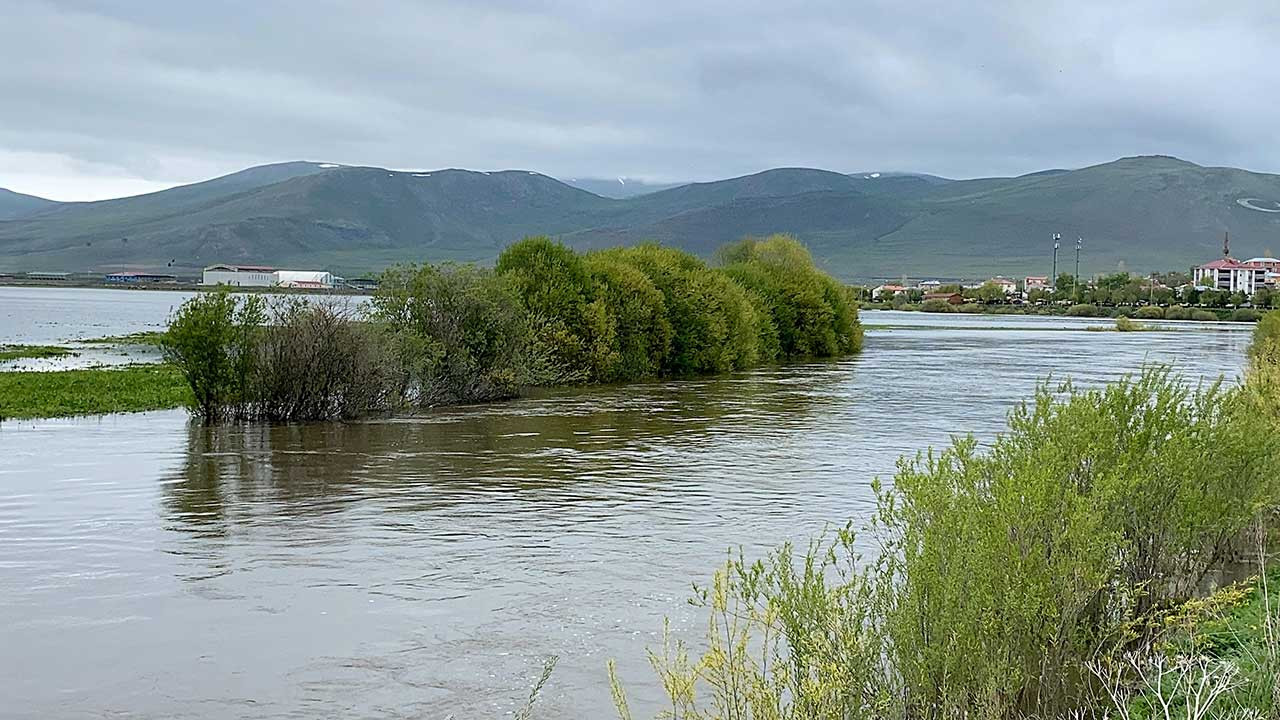 Kura Nehri taştı; Ardahan Ovası göle döndü