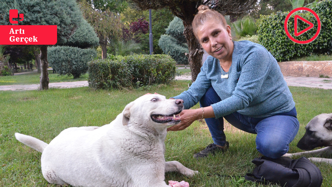 Hayatını sokak hayvanlarına adayan Fatoş Tekbaş: Öldürmelerine izin vermeyeceğiz