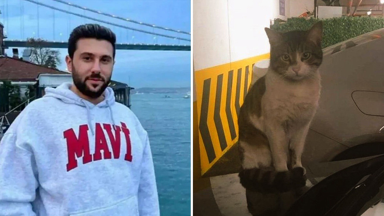 Kedi 'Eros'u öldüren sanığa verilen 'iyi hal' indirimli cezanın artırılması istemi reddedildi