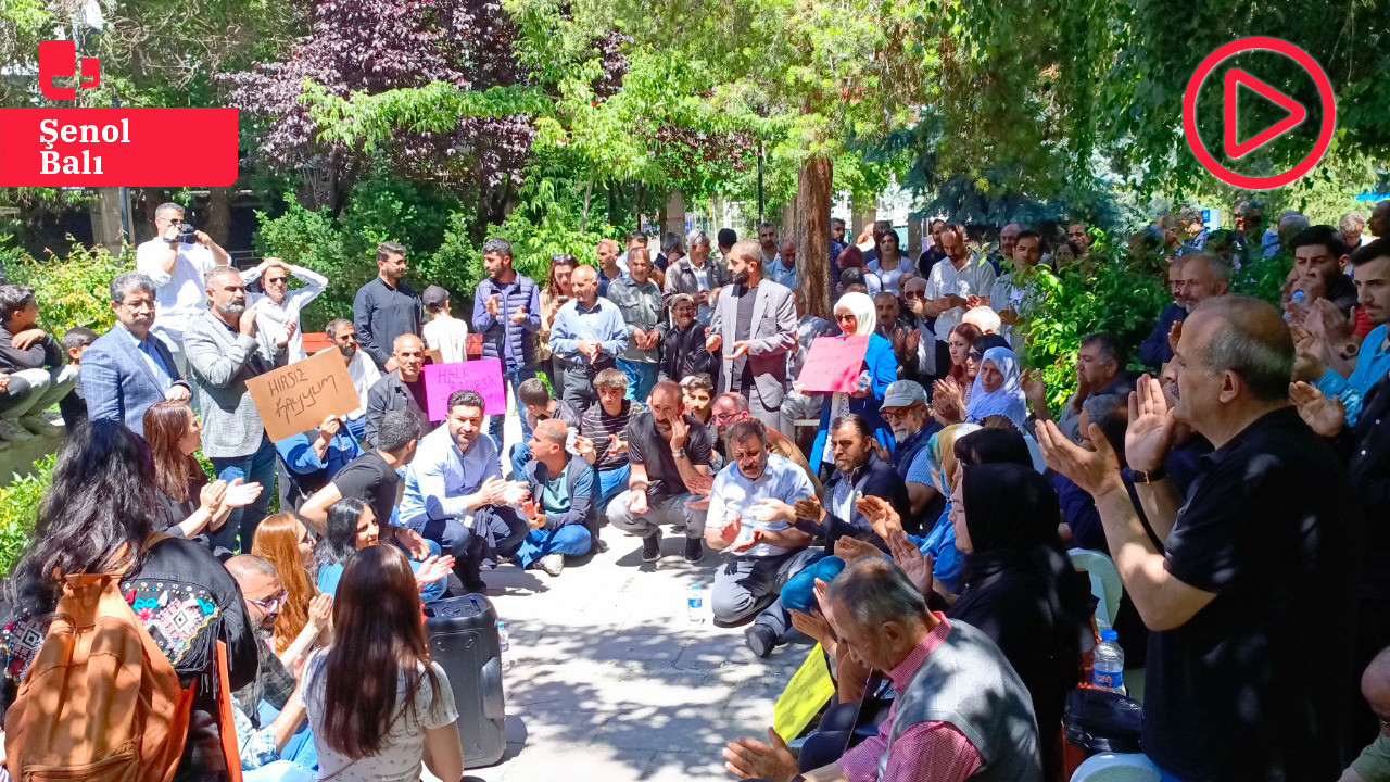 Hakkari Belediye Eşbaşkanı Akış'a ceza Van'da protesto edildi: 'Adalet ve demokrasi için direneceğiz'