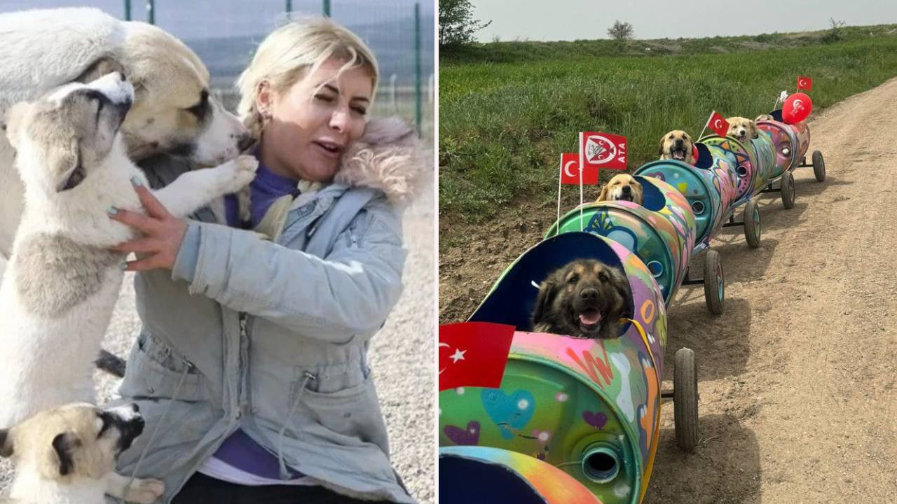 'Köpek Velisi’ Buket Özgünlü'nün tutuklanmasına tepki yağdı: Bu organize kötülük önüne gelen her şeyi yutar