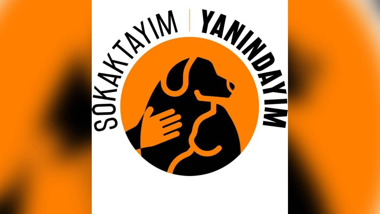 Yaşam için Yasa İnisiyatifi: 'Sokaktayım Yanındayım'