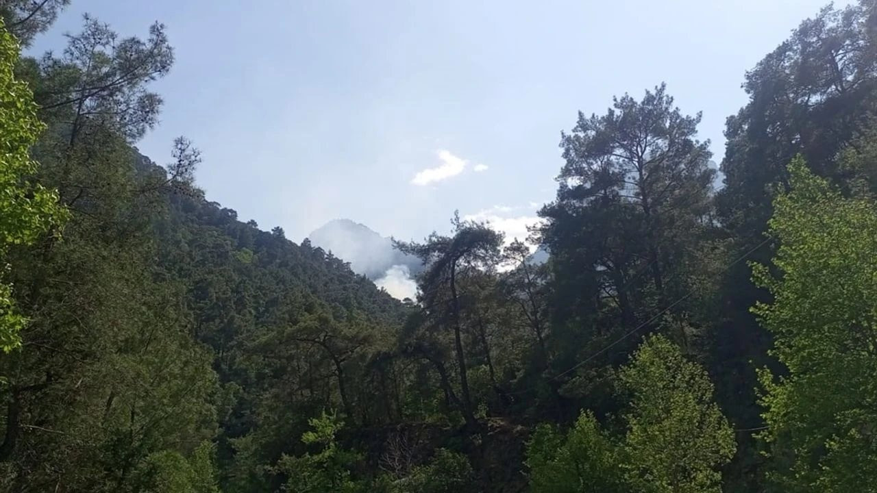 Dersim'de arpa tarlasında yangın: 55 hektar alan zarar gördü