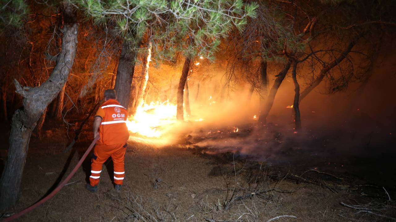 Çanakkale Ayvacık'ta orman yangını: Bir köy boşaltıldı