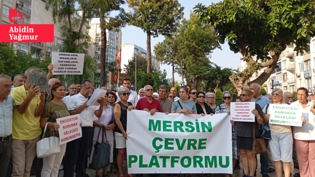 Mersin Çevre Platformu'ndan çağrı: 'Diyarbakır ve Mardin'de yangın alanı afet bölgesi ilan edilsin'