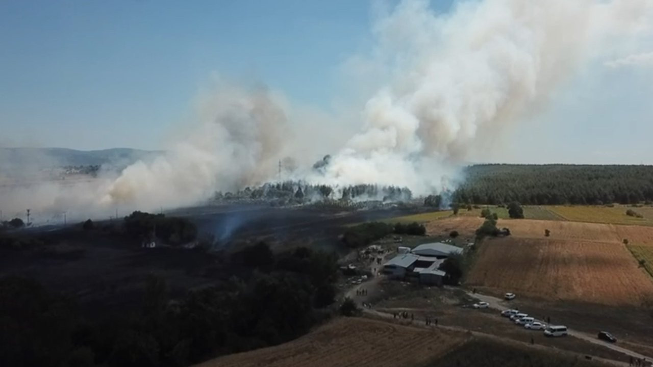 Yangın Uludağ Üniversitesi kampüsüne sıçradı