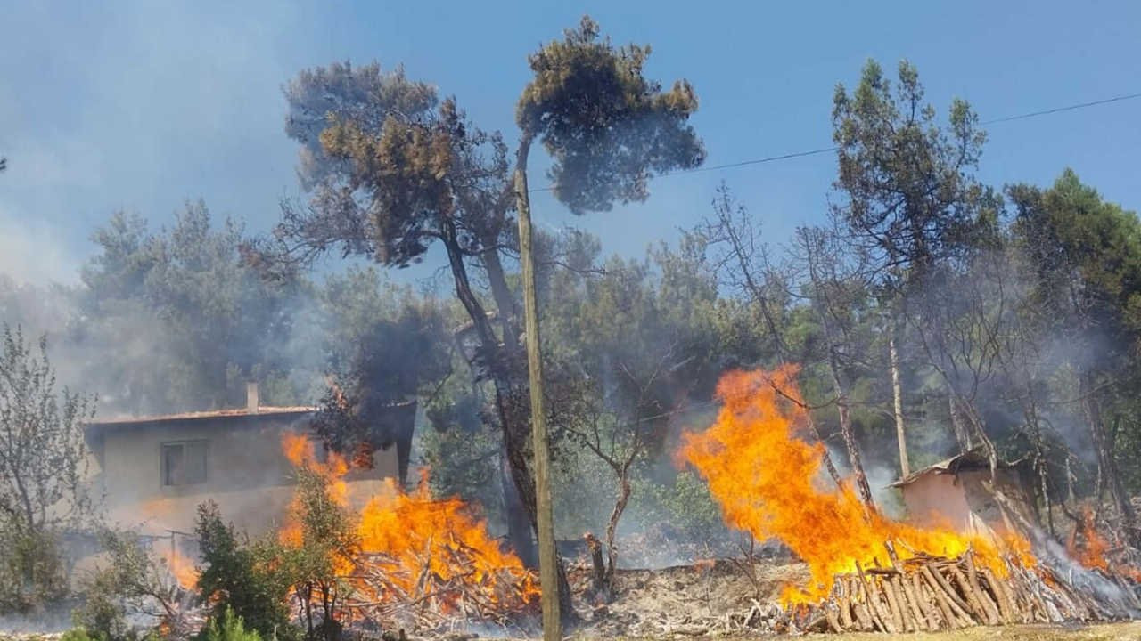 Balıkesir'de orman yangını: Alevler bazı evlere ulaştı