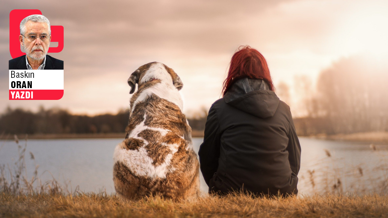 Köpekleri değil insanları uyutmak