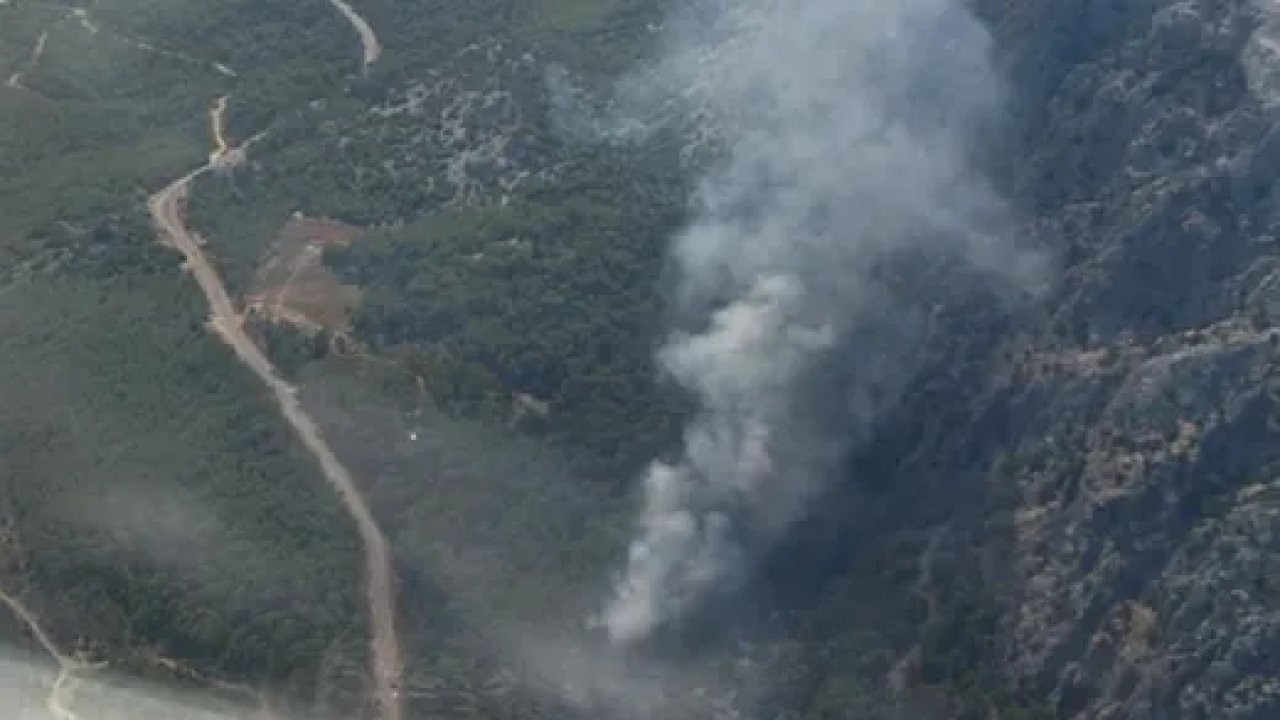 Antalya'da ormanlık alanda yangın