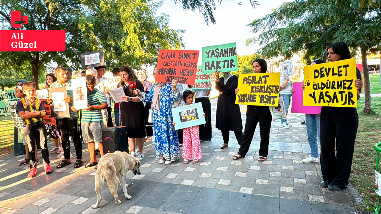 Urfa'da 'katliam yasası' protesto edildi