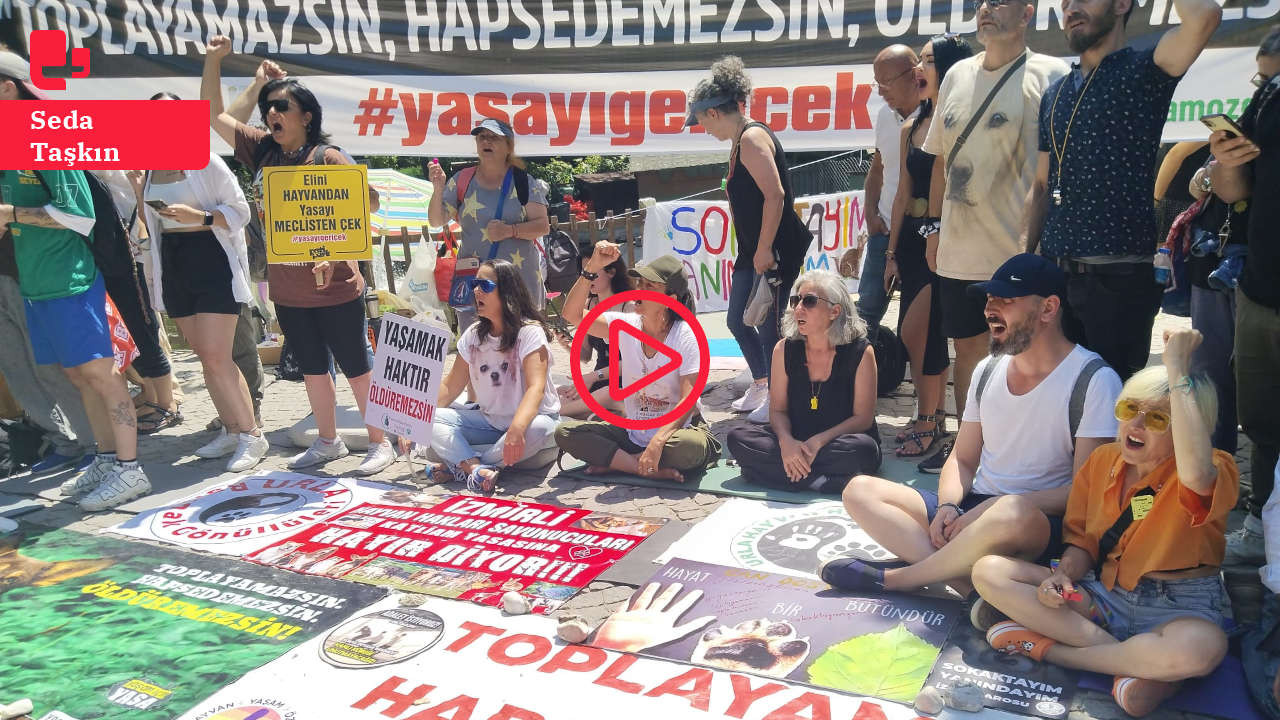 ‘Katliam Yasası’ görüşülüyor: ‘Biz Meclis’te mücadele edeceğiz, 85 milyon sokakta dirensin’