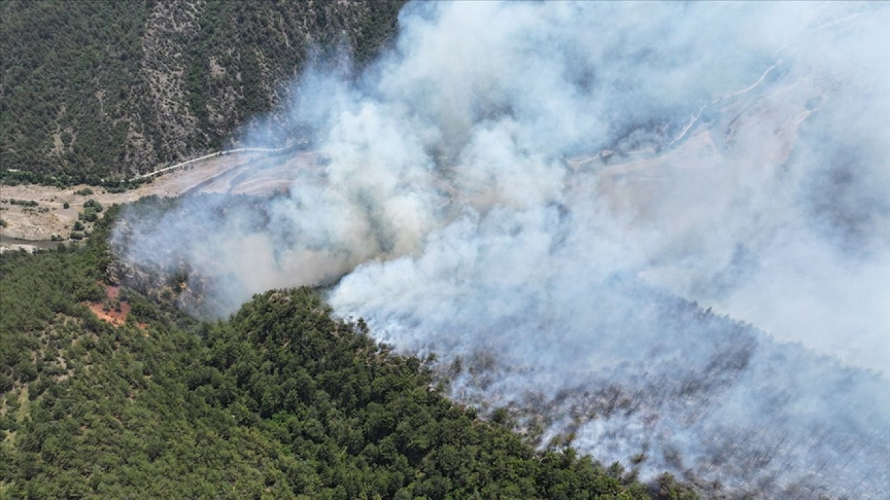 Karabük'te çıkan orman yangını kontrol altına alındı